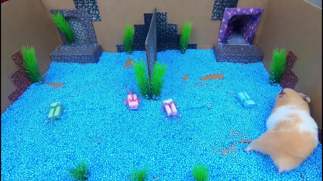 Hamster Escapes The Awesome Minecraft Maze With Underwater Obstacle Course10