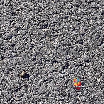 WHO LOVES A BABY FROG?