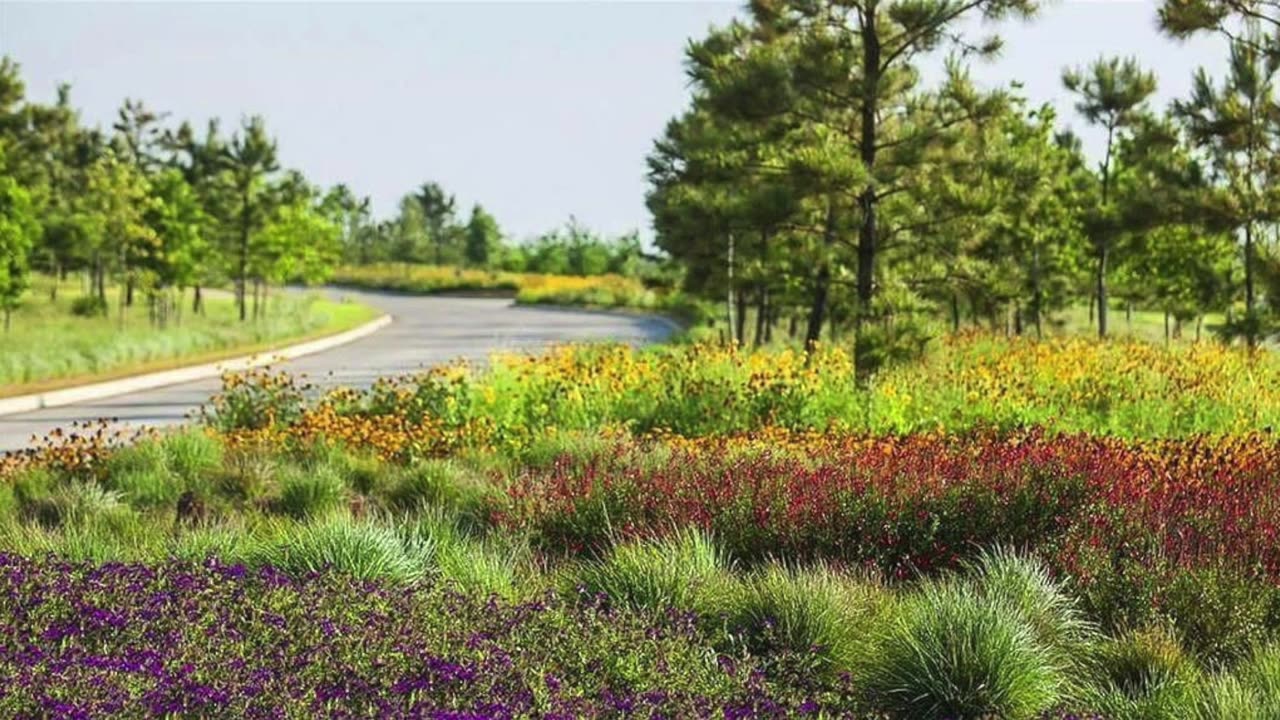 Seamless Blend of Style and Comfort: Find Your Perfect Luxury Home