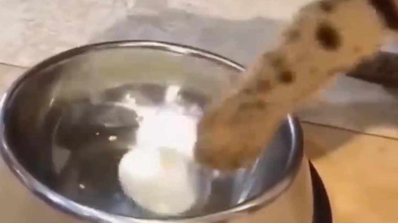 New Funny video 2023😍cutest cats and Dogs😺🐶