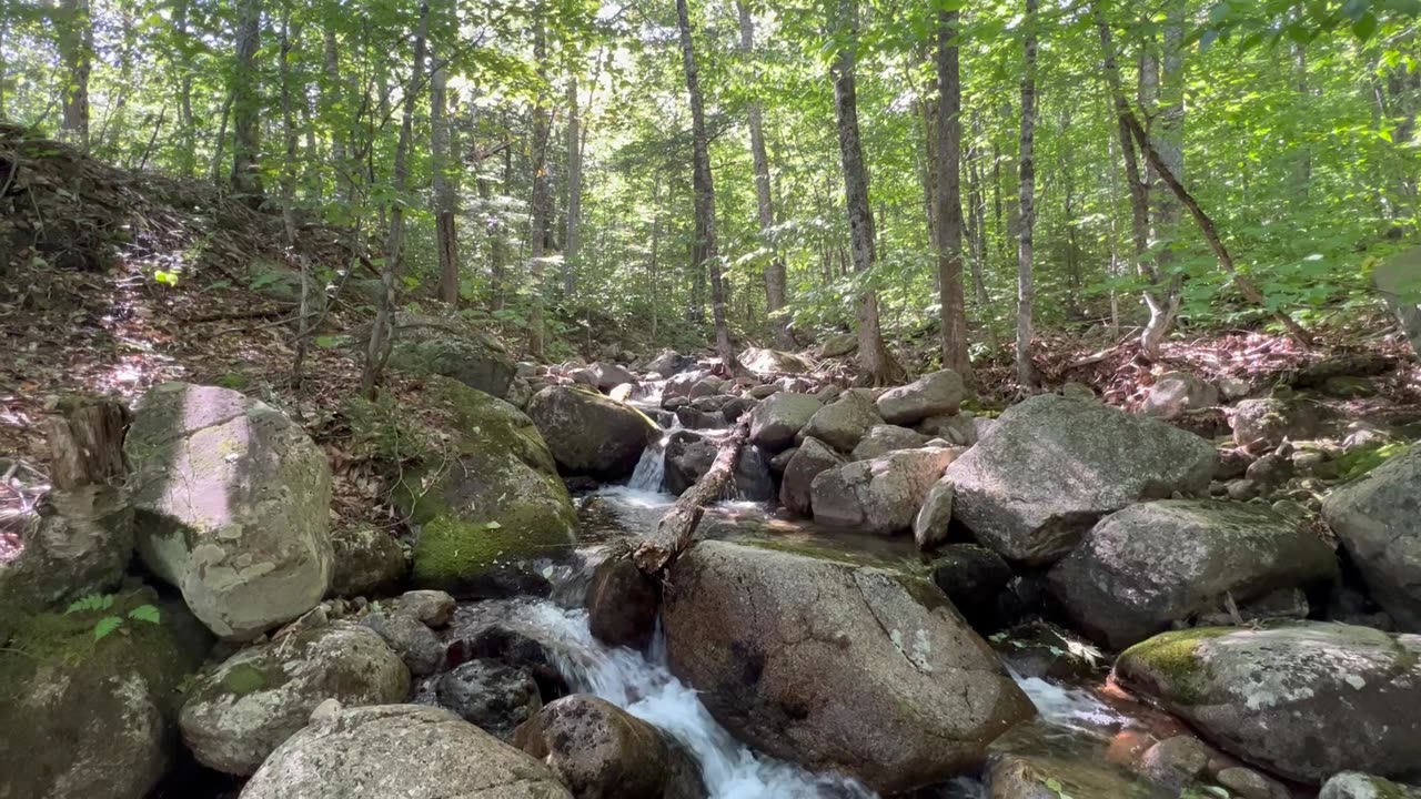 Stairs Mountain VIA Rocky Branch River Trail 😃 White Mountains New Hampshire 😍!