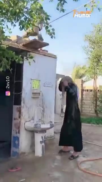 The run away at the end 😂😂😂 #funny #viral #shorts #funnyvideos #trustedhumor