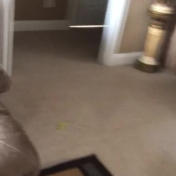 Baby scared of stuffed dinosaur