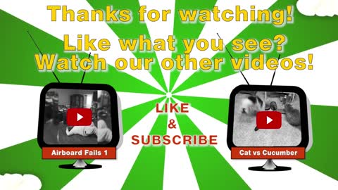 Funny Raccoons (HD) [Epic Laughs]