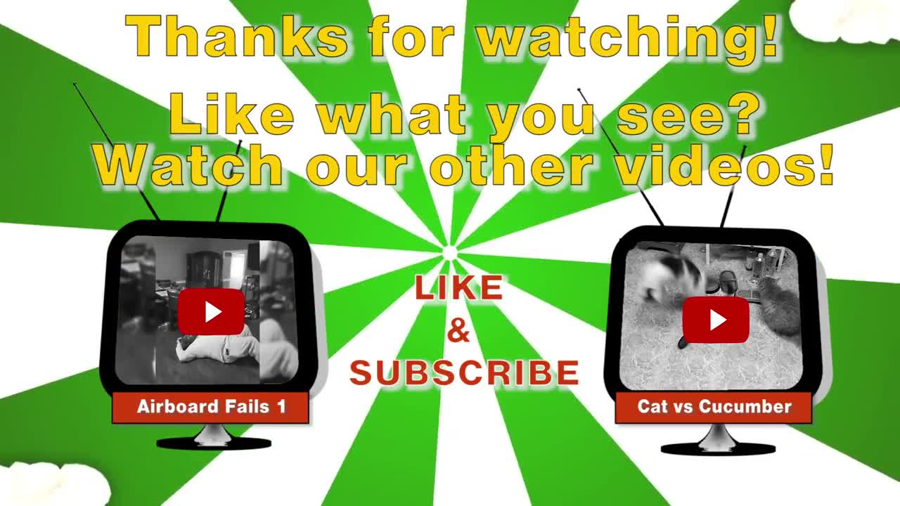 Funny Raccoons (HD) [Epic Laughs]