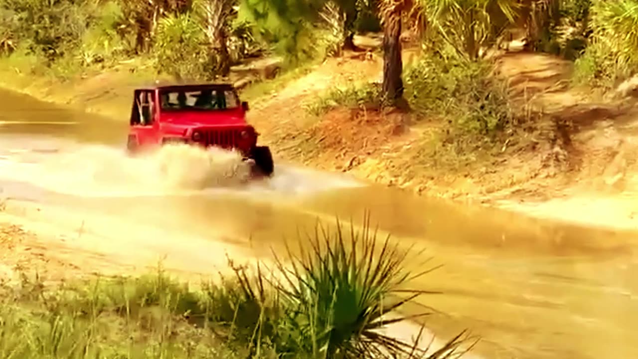 More Jeep Fest 2023 Ocala National Forest