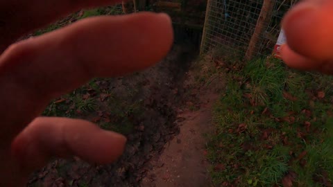 GoPro Time warp Time Lapse into the woods for a wildcamp