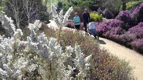 Flowers arrive a month early in UK: study