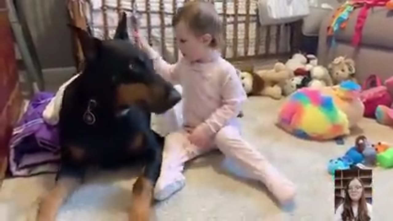 Adorable Babies Playing With Dogs Compilation - Funny Baby And Dog Videos -- Just Laugh