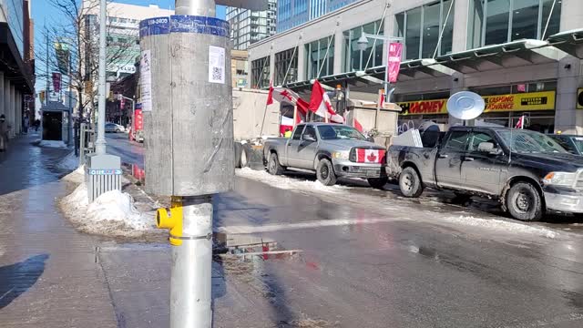 Ottawa February 7 11:25am Freedom Protest. Look at your so called State of Emergency. Share truth.