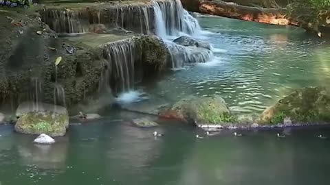 Beauty of Nature