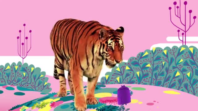 Animal So,' by StoryBots - Netflix Jr_Cut