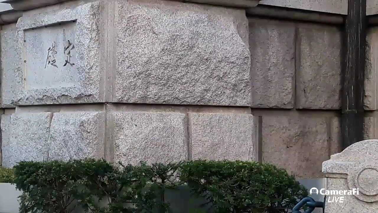 20181002_V3_S01(svq_SaZnm2I)중국 지멘스 한국 출장자의 태극기 집회를 보는 견해및