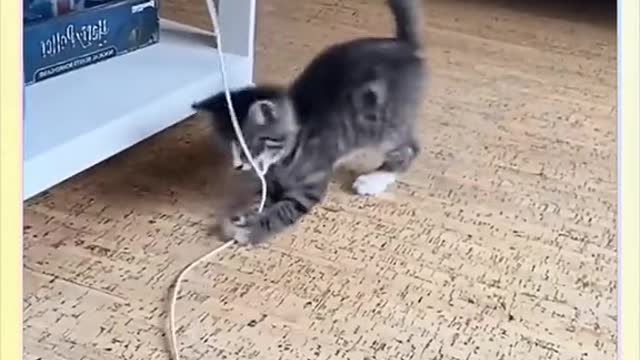 cute