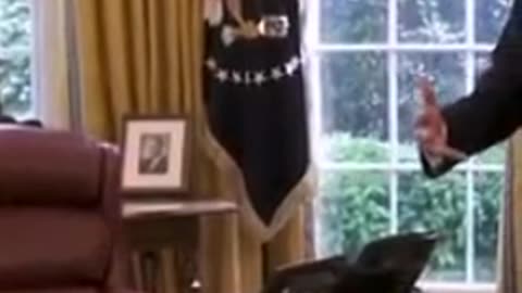 Ominous looking - it gets you a Coke 🤣