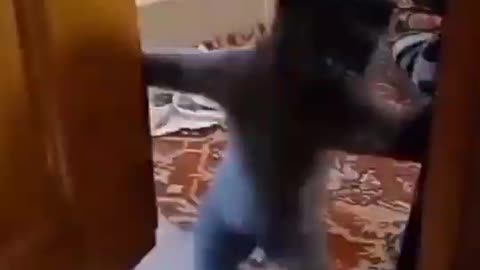 Funny animals in this world