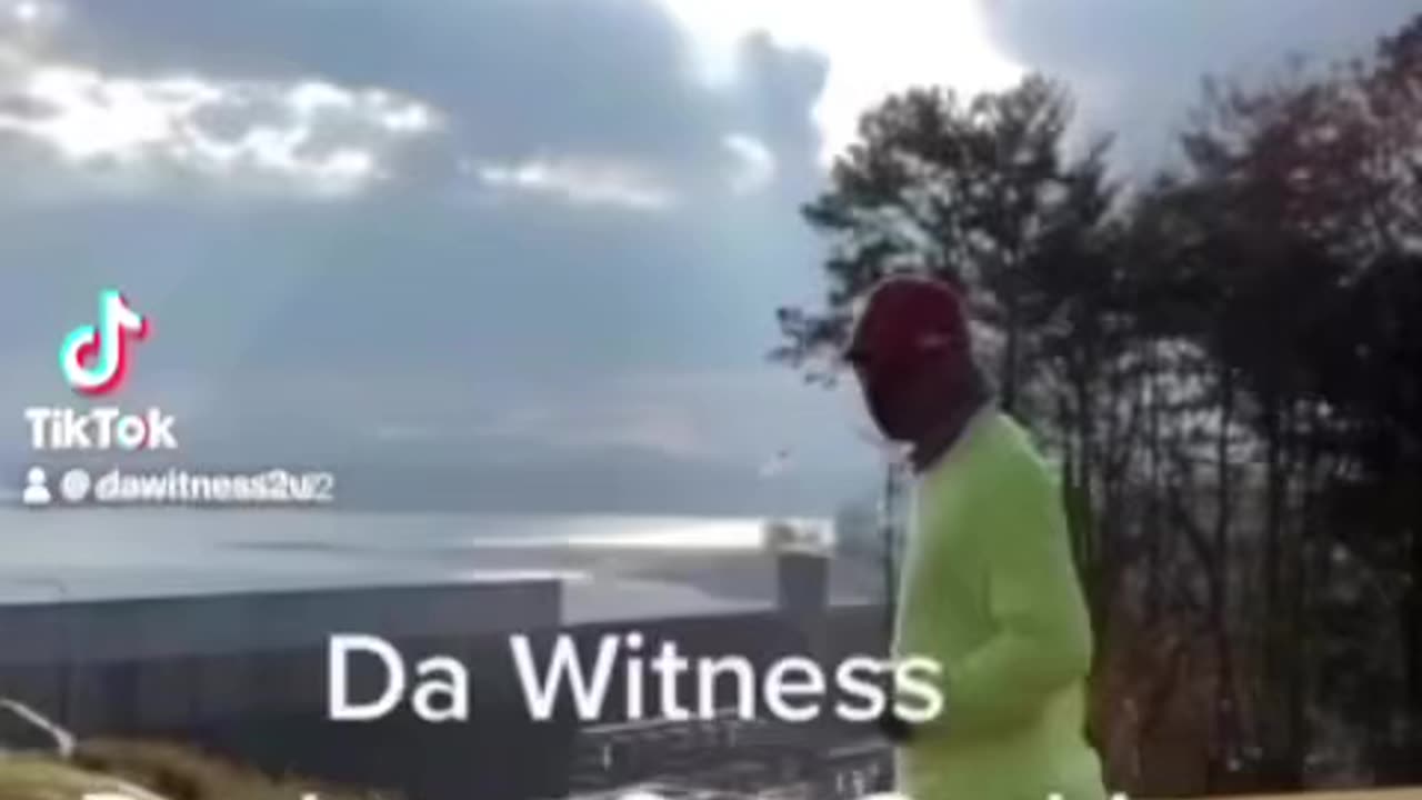 Creator -n- Creation