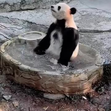 Me on vacation in Caribbean in cold winter months