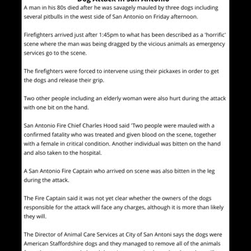 80 Year Old Man Is Killed And Three Others Are Injured In Dog Attack In San Antonio