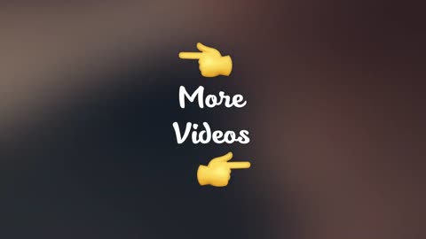 Funny Pets Videos