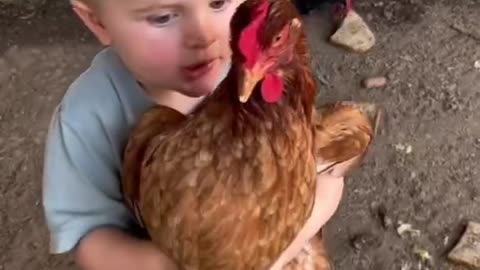 Little boy and little hen playing