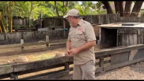 World record for oldest turtle 100 years old and weight 340 kg