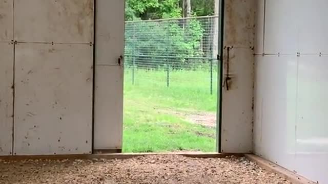 zoo