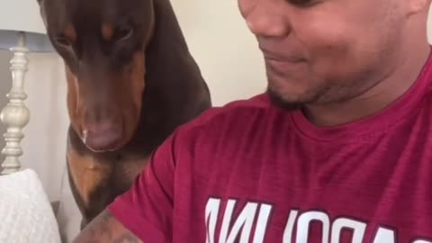 pretending to run out of treats