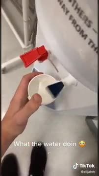 memes i found on tiktok pt.7