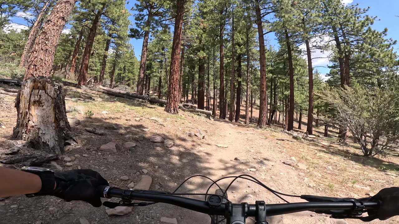 [MTB] Dry Pond Trail (Reno, NV), Part 1