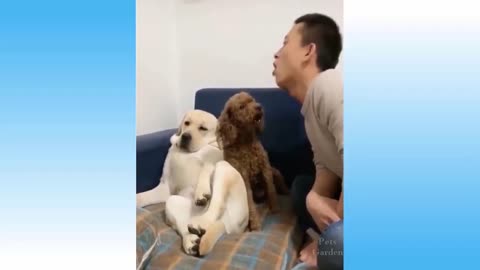 Funny animal videos 🤣🤣