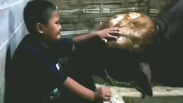 Kesedihan yang tak terbendung ketika harus melepaskan sesuatu yg sangat disayang..