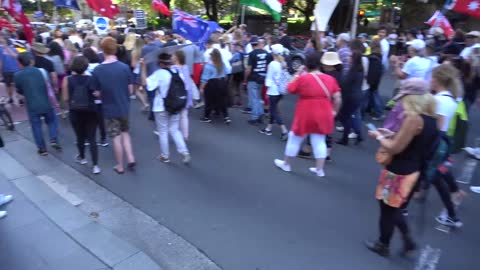 Sydney Freedom March - 14-May-2022 - from Elizabeth St