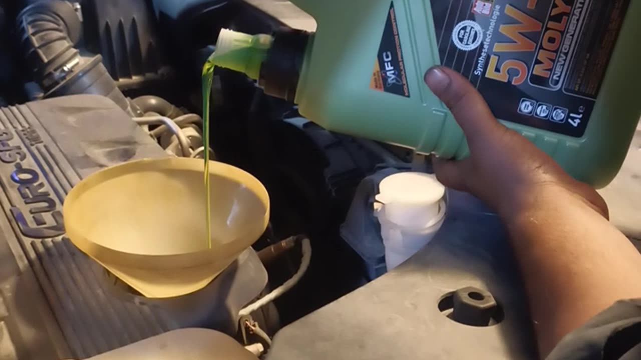 Liquid Moly Molygen 5w30 Oil Change