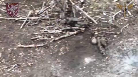 ‼️ Ukrainian paratroopers destroy rus near Kleshcheevka🔞