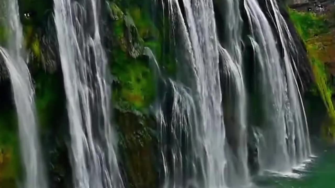 Beautiful Nature. video