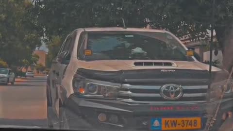 Civic car video