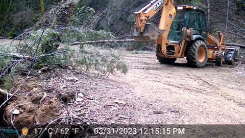 Case 580 Loader - More Tree Work