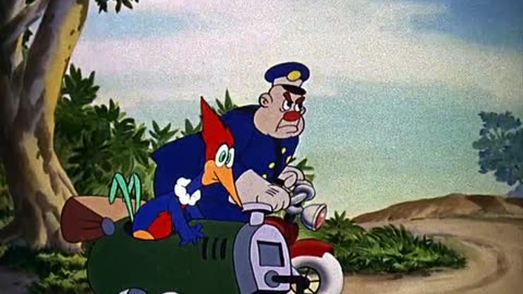 WOODY WOODPECKER - 003 - The Screw Driver