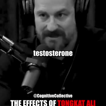 Andrew Huberman on Tongkat Ali