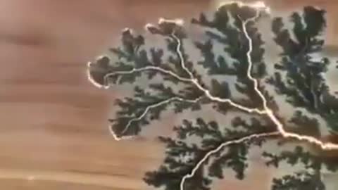 Electricity flowing through a wet wood!!!