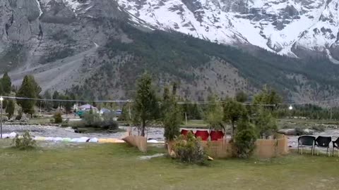 Beautifull mountain breeze and tall trees