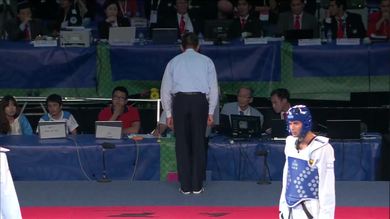 2013 World Taekwondo Championships Final Male -80kg