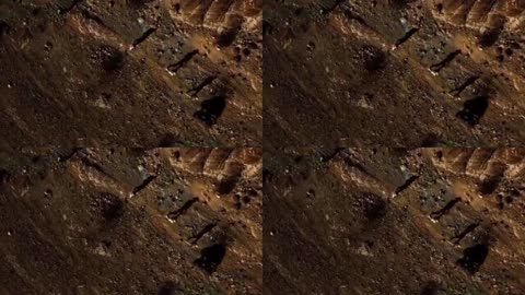 PEDOPHILES ARE THE VIRUS