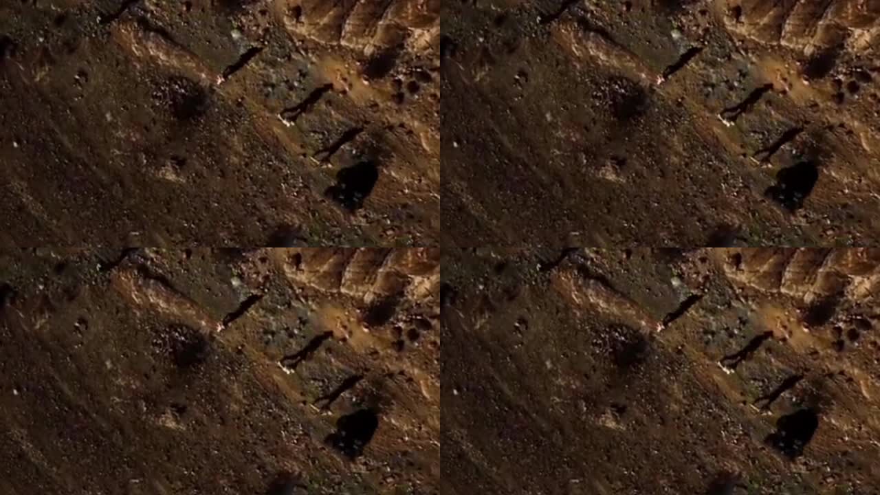 PEDOPHILES ARE THE VIRUS