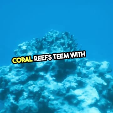 Exploring Enchanting Underwater Realms in Australia