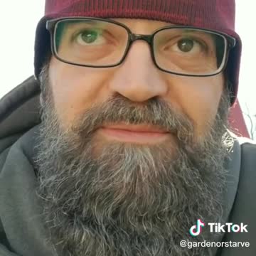 Mulch As Insulation For Cold Weather