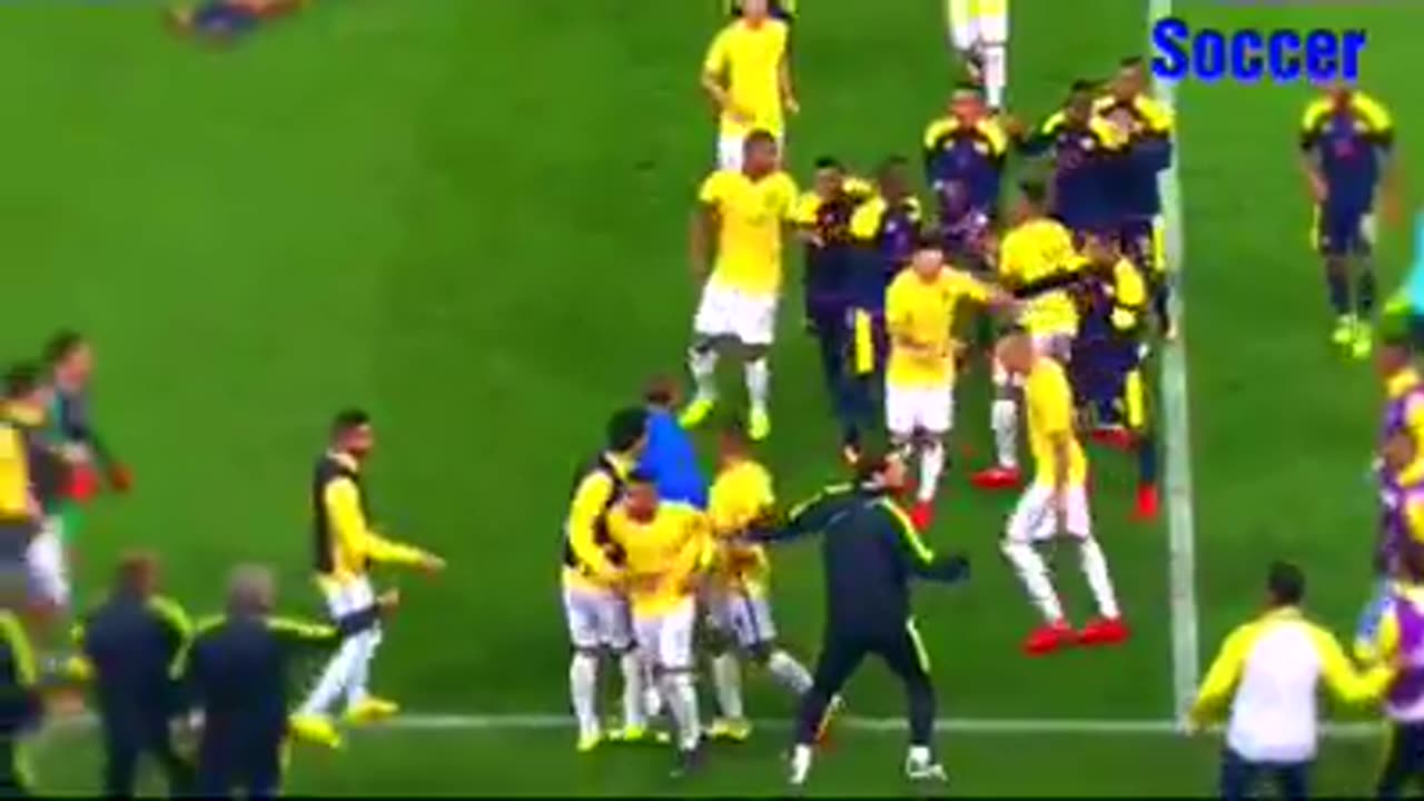 Famous football player fight