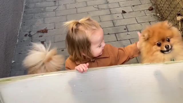 Puppy and baby In morning cute smile 😁