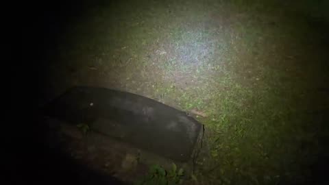 Midnight in America’s Most Haunted Cemetery | Bachelor's Grove Cemetery
